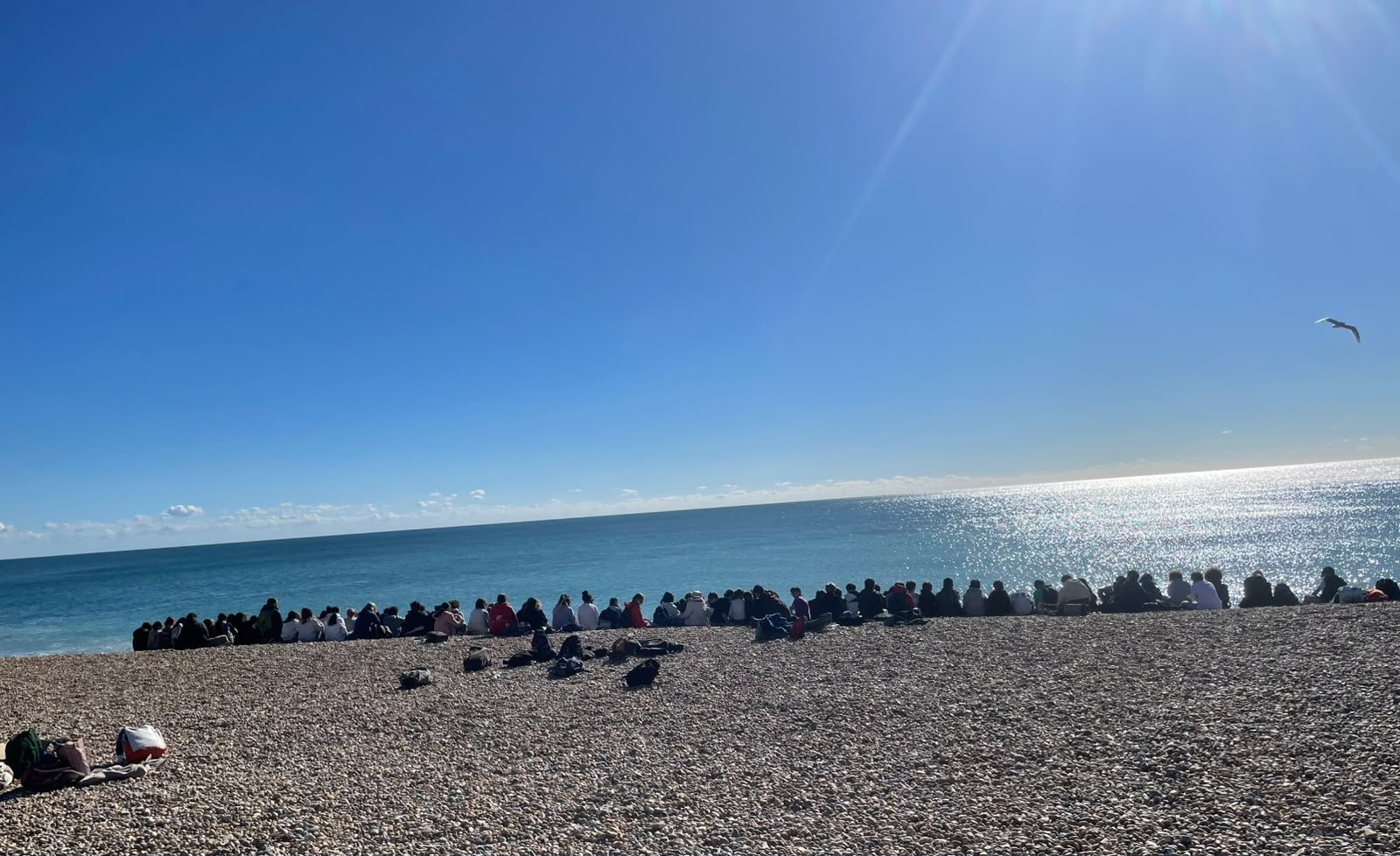 Les élèves de 5e réunis sur la plage de Hastings